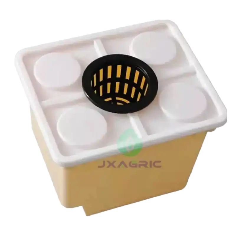 dutch-bucket-hydroponic-system-for-tomato-cultivation