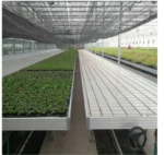 hydroponic growing system