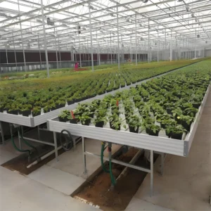 hydroponic growing system