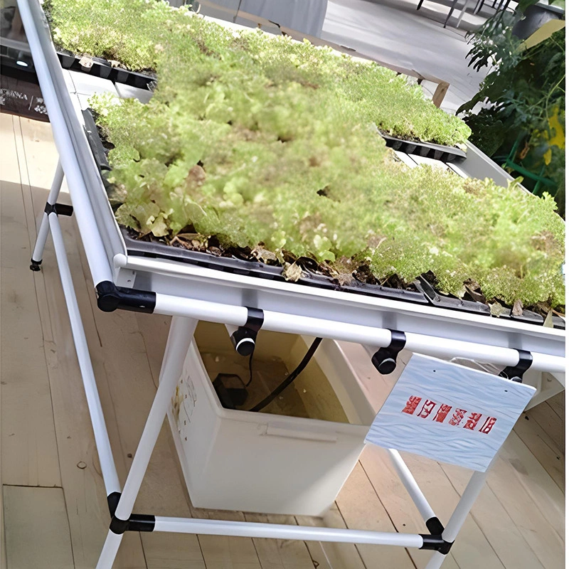hydroponic growing system