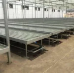 hydroponic growing system