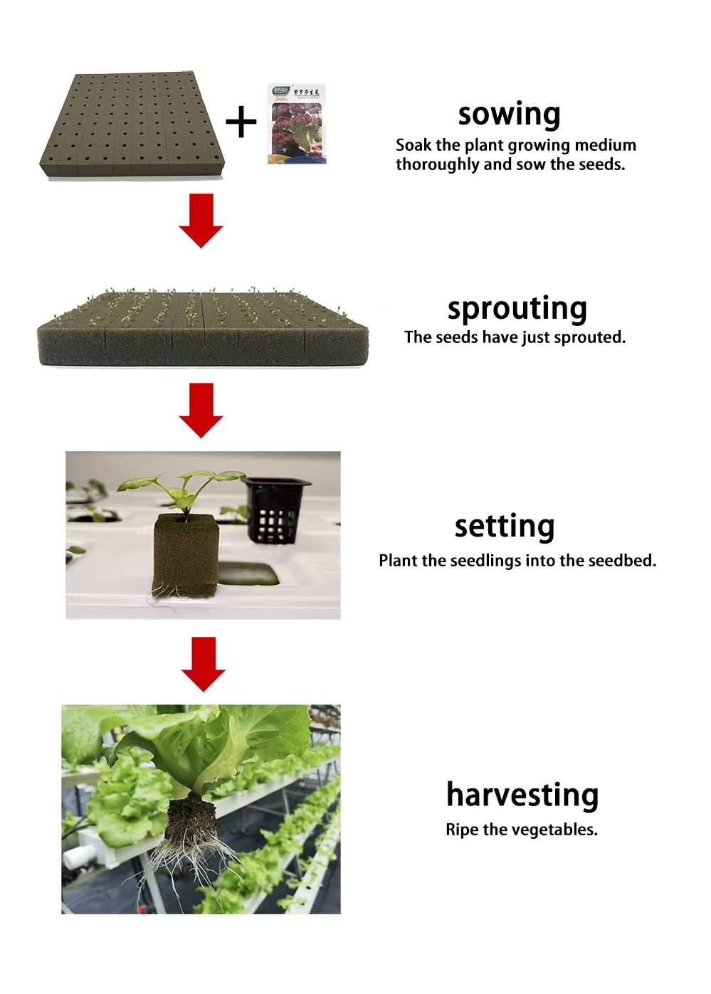 Hydroponic Nursery Cube