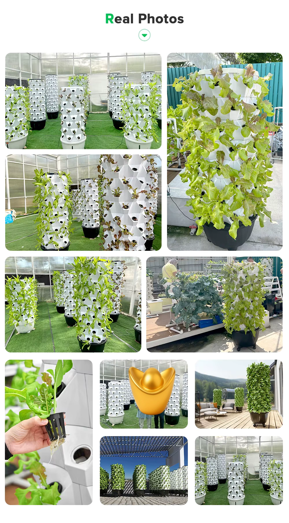 Pineapple hydroponic garden system with 64/80/96 holes for leafy greens and vining vegetables.