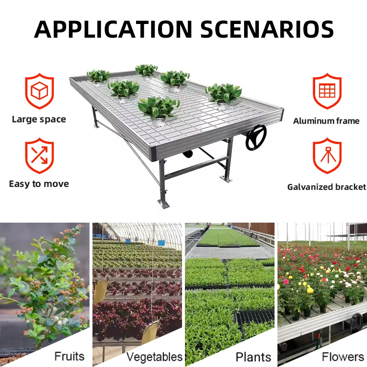 Vertical Movable Ebb and Flow Hydroponic System (5)