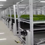 Vertical Movable Ebb and Flow Hydroponic System (5)