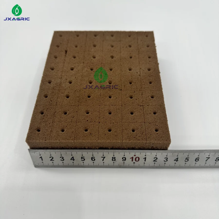 Hydroponic Nursery Cube