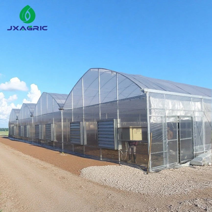 Soilless Cultivation Bases