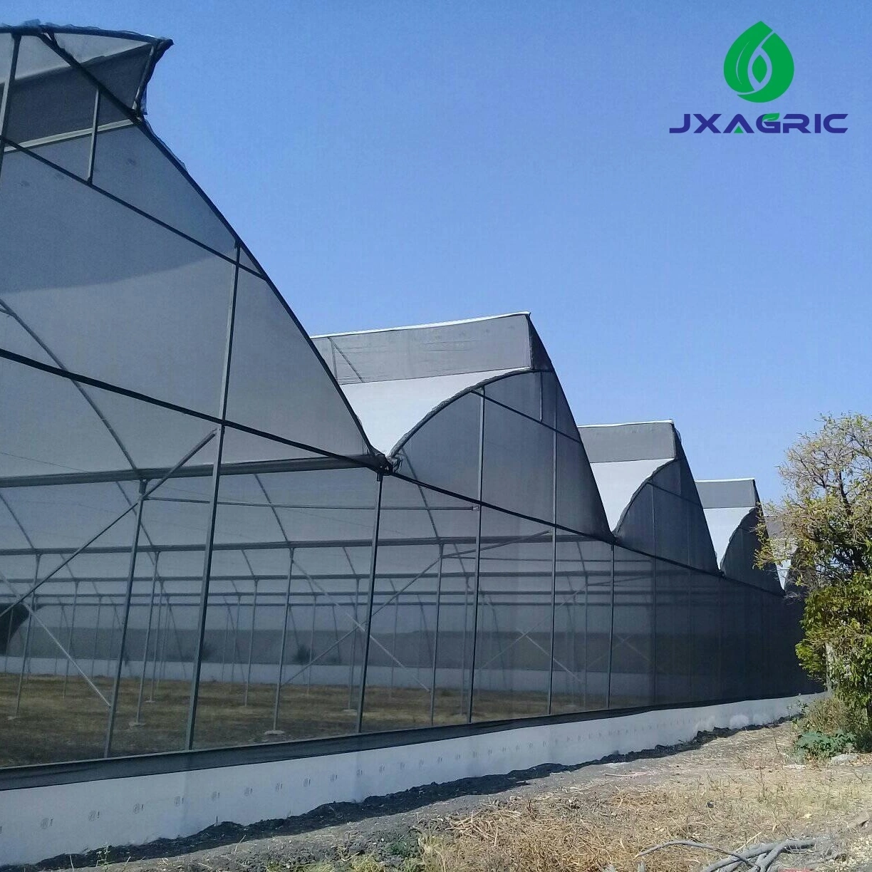 multi-span greenhouse