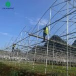 multi-span greenhouse