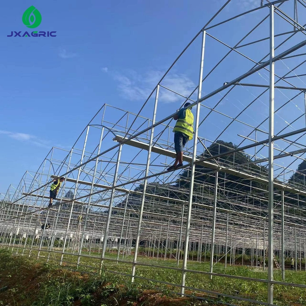 multi-span greenhouse