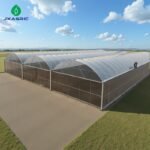 multi-span greenhouse