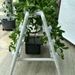 Mini NFT hydroponic system with 36/54/63 holes for growing leafy greens indoors