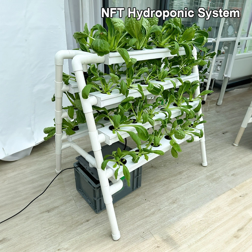 Mini NFT hydroponic system with 36/54/63 holes for growing leafy greens indoors