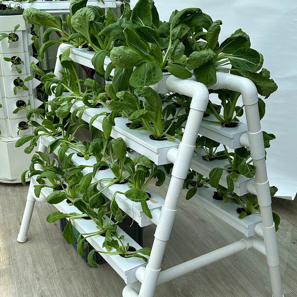 Mini NFT hydroponic system with 36/54/63 holes for growing leafy greens indoors