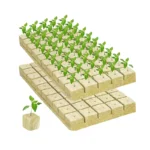 hydroponic rock wool
