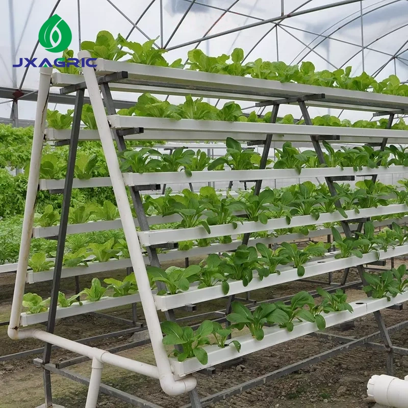 NFT channel hydroponic farming system 100×50mm for growing leafy greens indoors