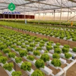 NFT channel hydroponic farming system 100×50mm for growing leafy greens indoors