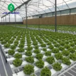 NFT channel hydroponic farming system 100×50mm for growing leafy greens indoors