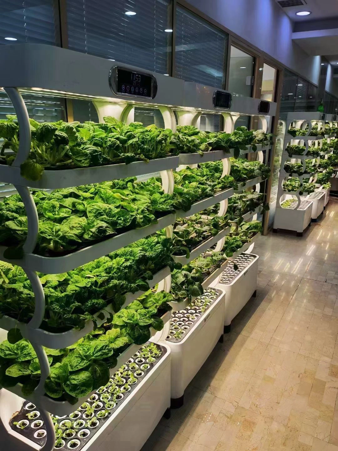 hydroponic plant system