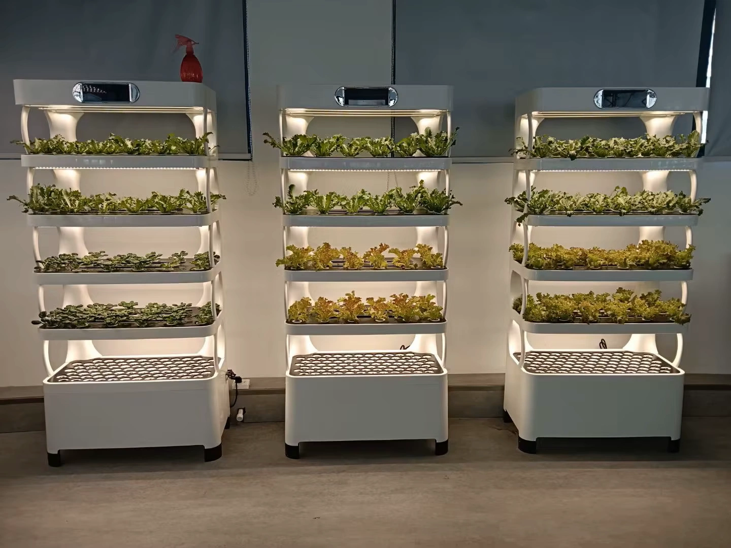 hydroponic plant system