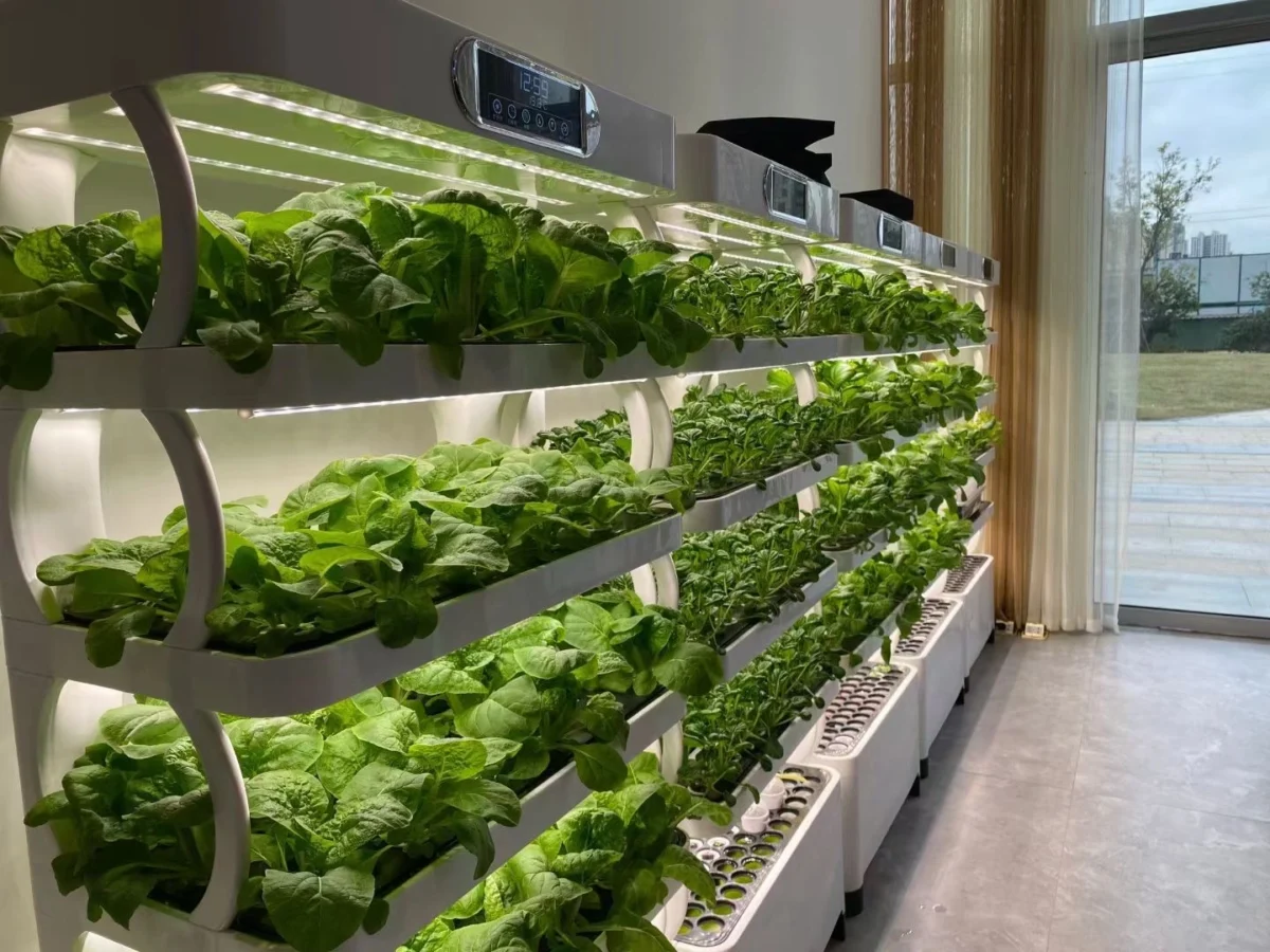 Smart cabinet multilayer hydroponic plant system with 72 planting holes for leafy greens and herbs.