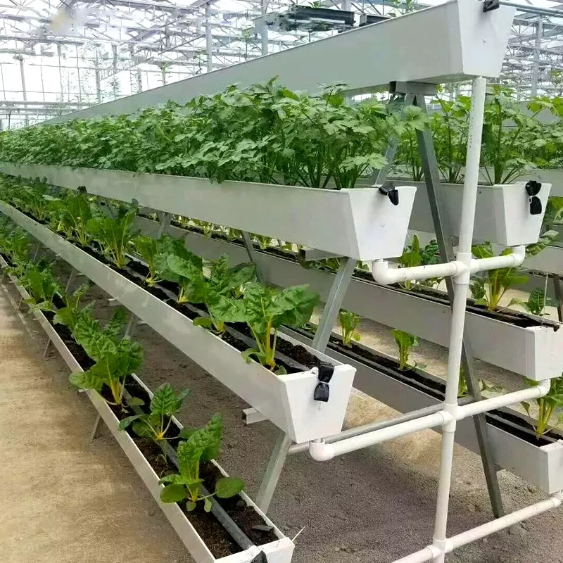 Strawberry gutter hydroponic farming system for greenhouse and indoor cultivation of strawberries with nutrient circulation and modular gutter design.