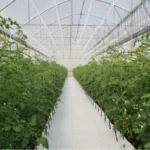 Agriculture Hydroponic PP Growing Gutter