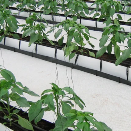 Agriculture Hydroponic PP Growing Gutter