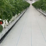 Agriculture Hydroponic PP Growing Gutter