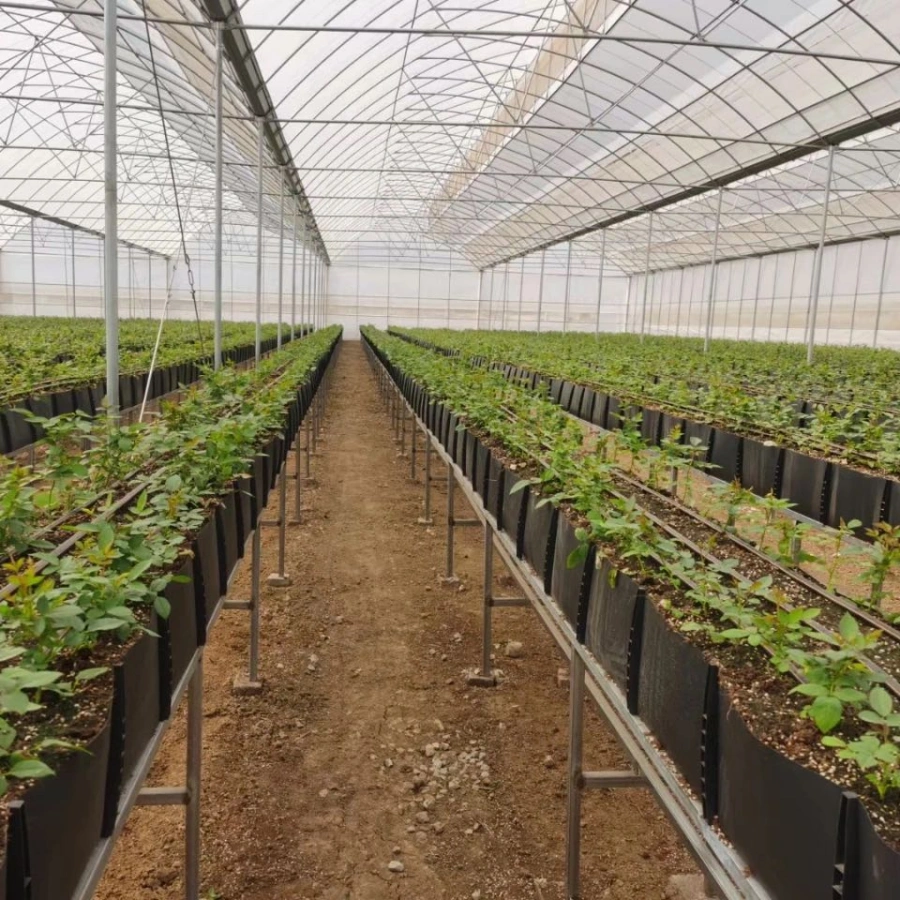 Agriculture Hydroponic PP Growing Gutter