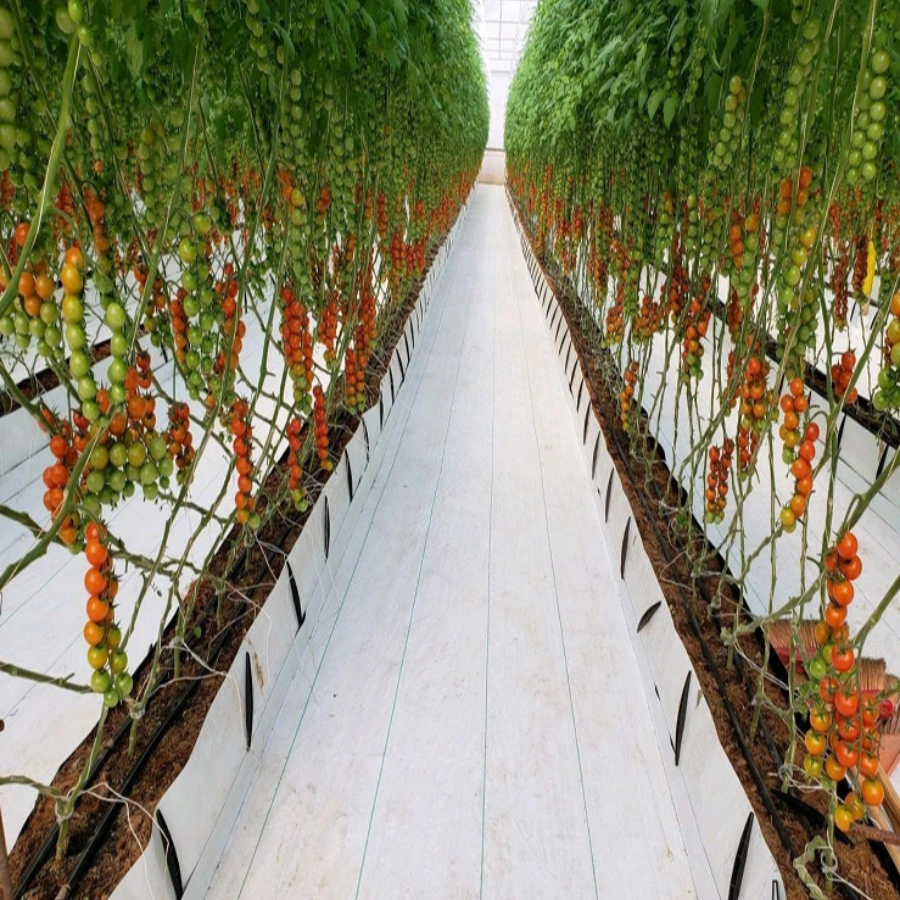 Agriculture Hydroponic PP Growing Gutter