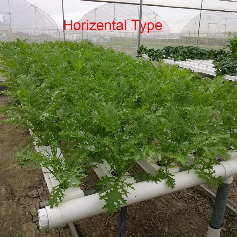 Soilless cultivation