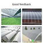 PO greenhouse film