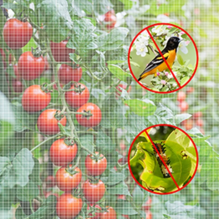 HDPE Insect Net for Greenhouse - 40/50/60/80/100 Mesh | Durable & Effective
