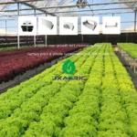 New Style NFT Channel Hydroponic Farming System 100×50mm for Leafy Greens | High-Efficiency Hydroponic Solution Prevent Moss Growing