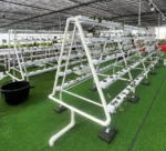 hydroponic nft channel