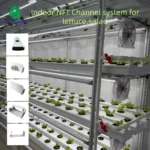 hydroponic nft channel